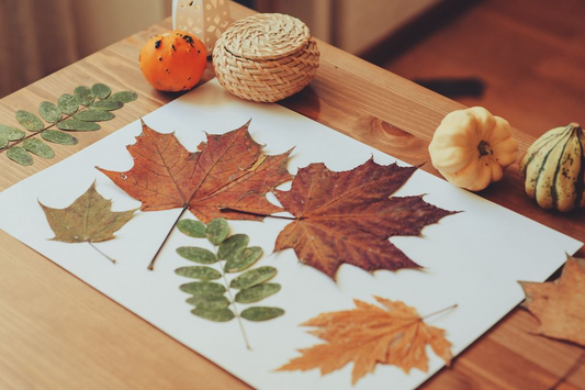 Fun Activities For Fall