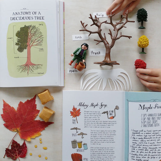 TREE GUIDE: A Tree Begins