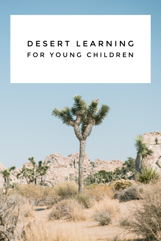 Learning About Deserts
