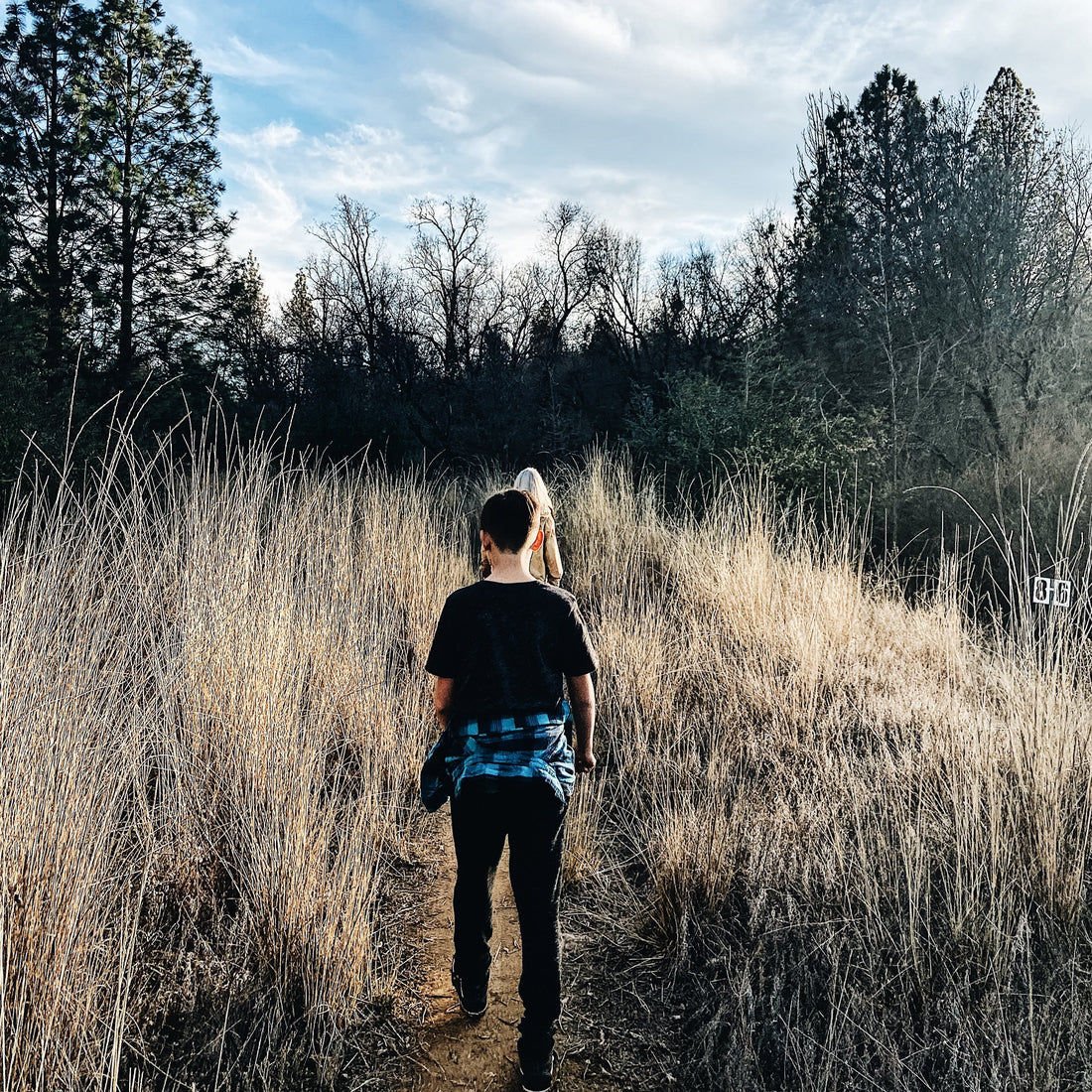 Simple Strategies to Reset Your Homeschool and Prevent Burnout