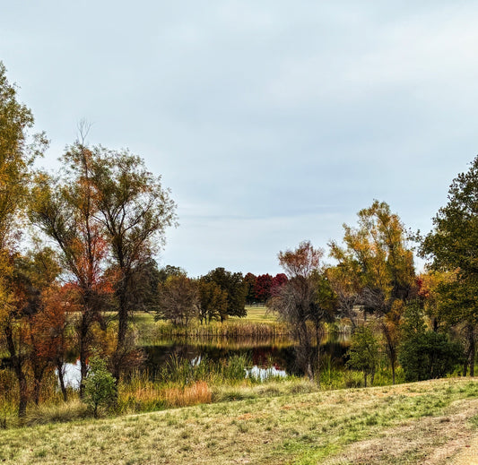 Reflection Questions for Each Season of a Mother's Life