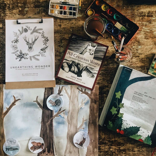 Seasonal Guides & Winter Activities