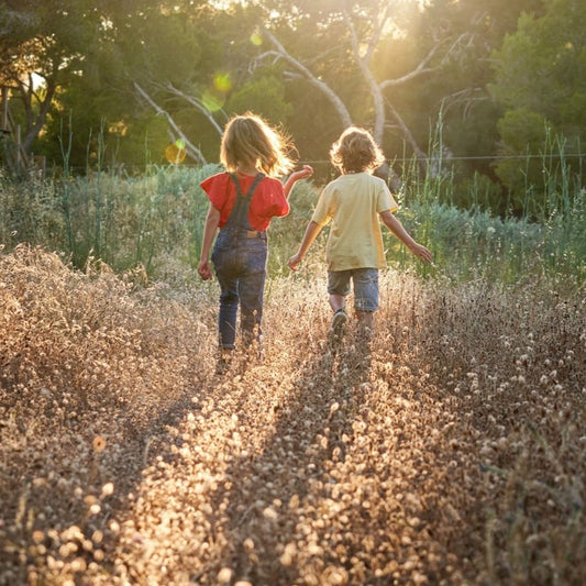 Exploring the World Through Nature Studies