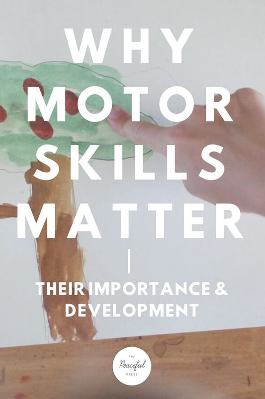 The Importance of Motor Skills