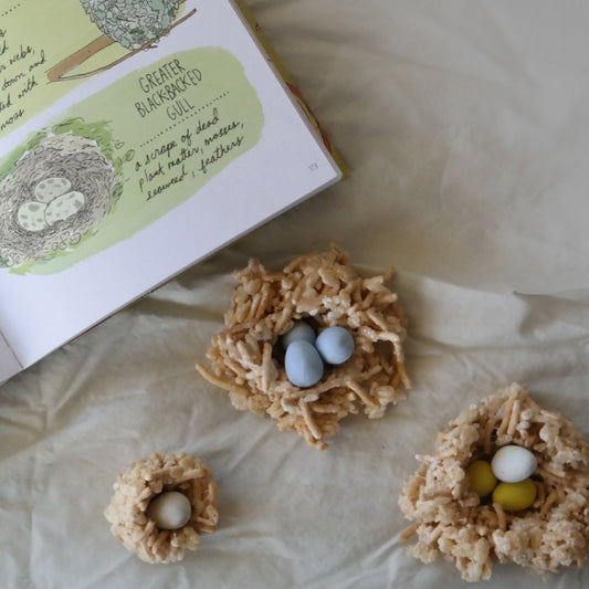 Edible Bird Nest Treats