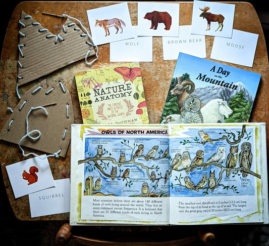 How to Love Homeschooling