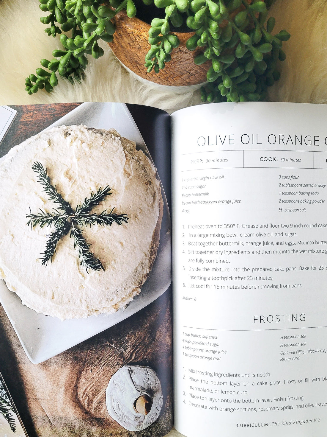 Recipes for a Living Education