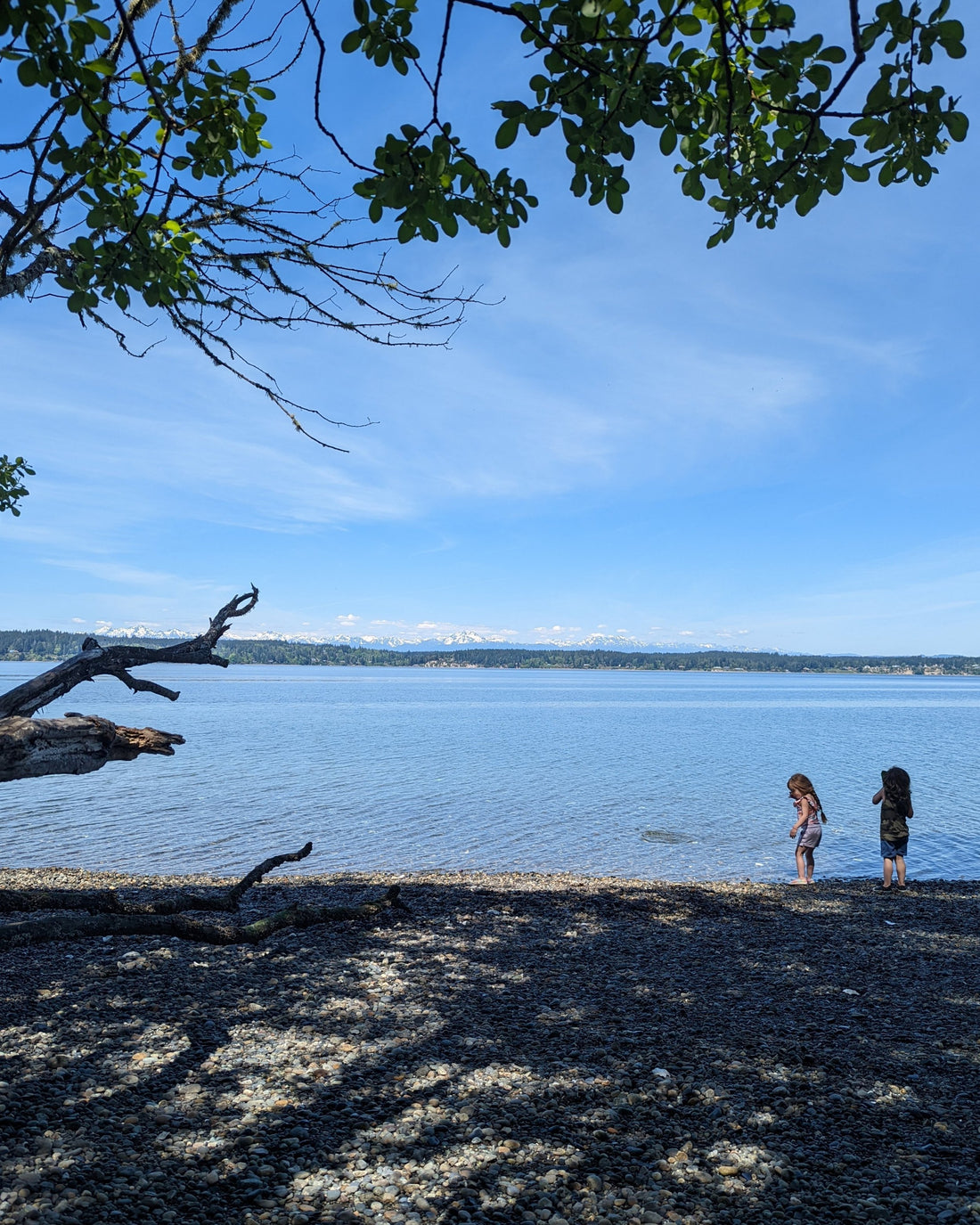 The Importance of Nature Study