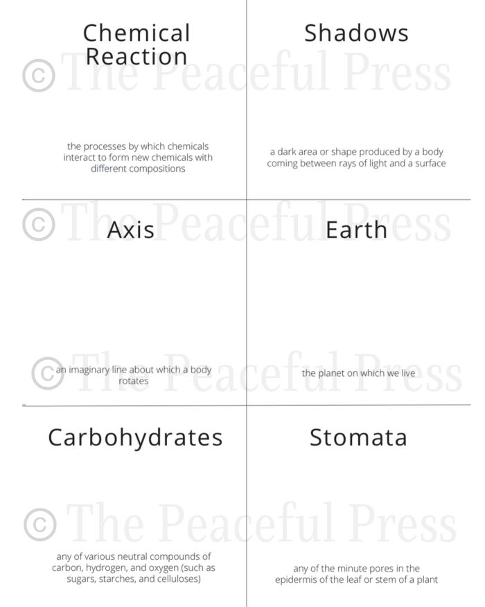 Peaceful Press Nature Book Flood: A Year Round Nature Study