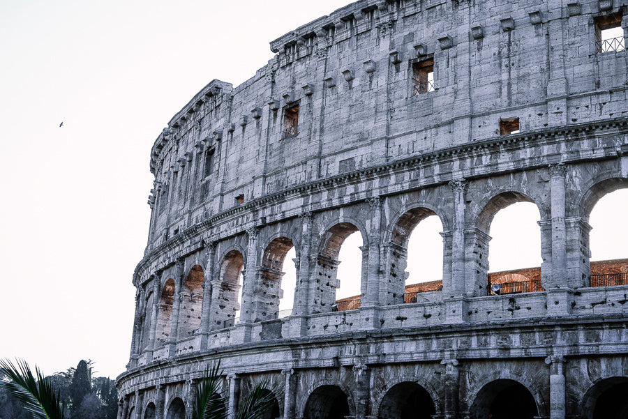 The Precious People World History