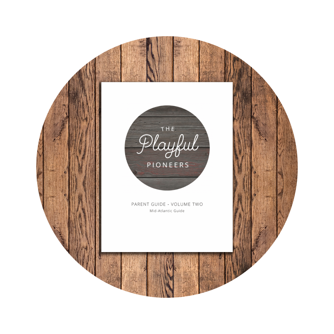 The Playful Pioneers Volume 2