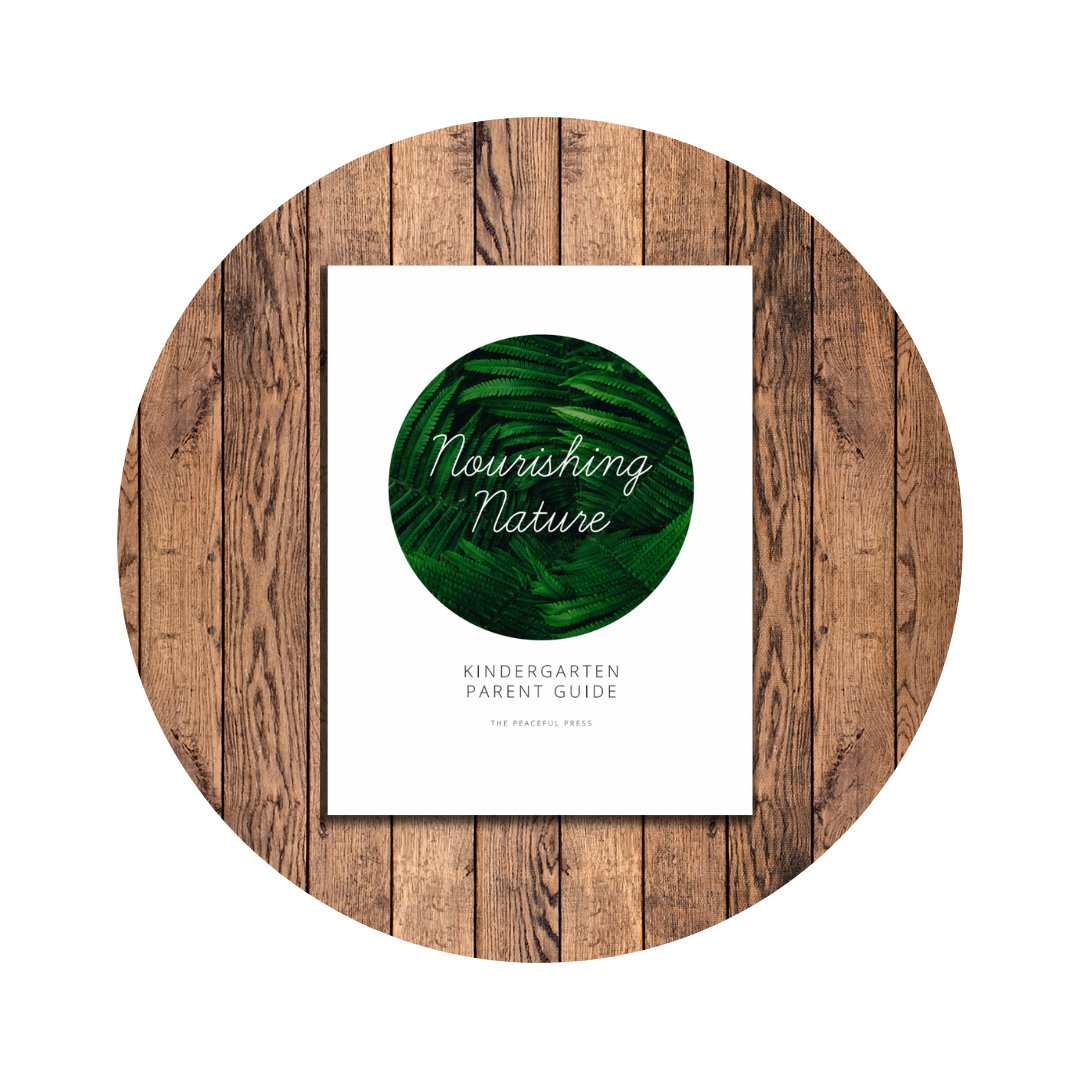Nourishing Nature Kindergarten: A Comprehensive Year of Learning