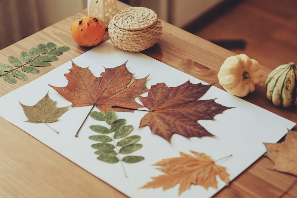 Fun Activities For Fall