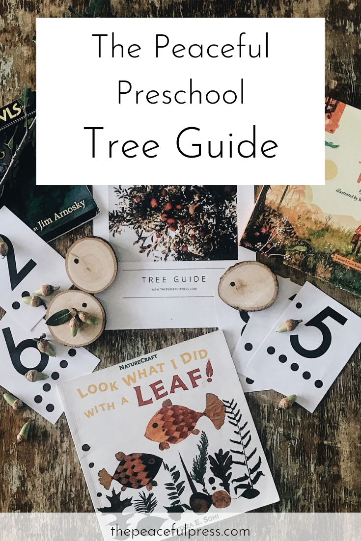 Homeschool Tree Lessons
