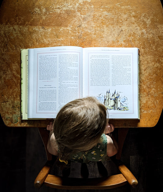 Choosing the Best Homeschool Philosophy: A Guide to Charlotte Mason, Montessori, Waldorf and More