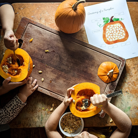 Fall Picture Books for Your Nature Study