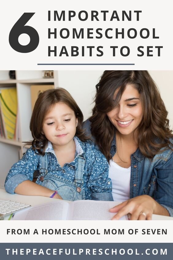 6 Homeschool Decisions To Make Right Now