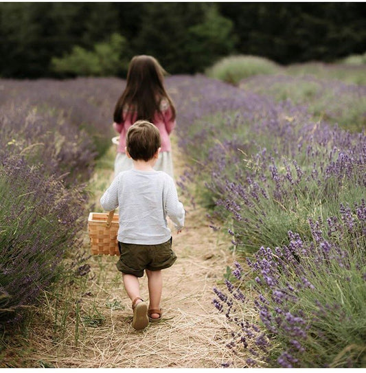 How To Change The World