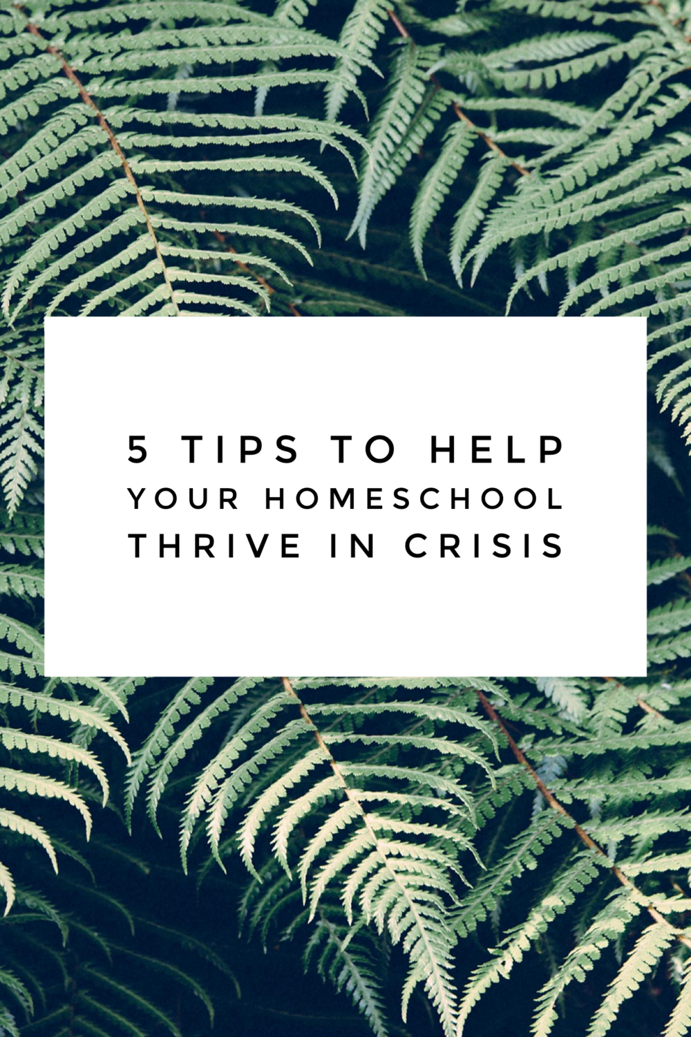 Tips For Thriving in Crisis