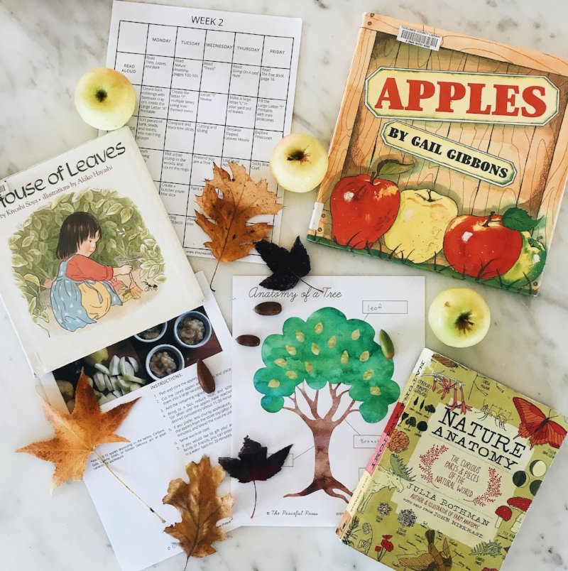 Fall Nature Study
