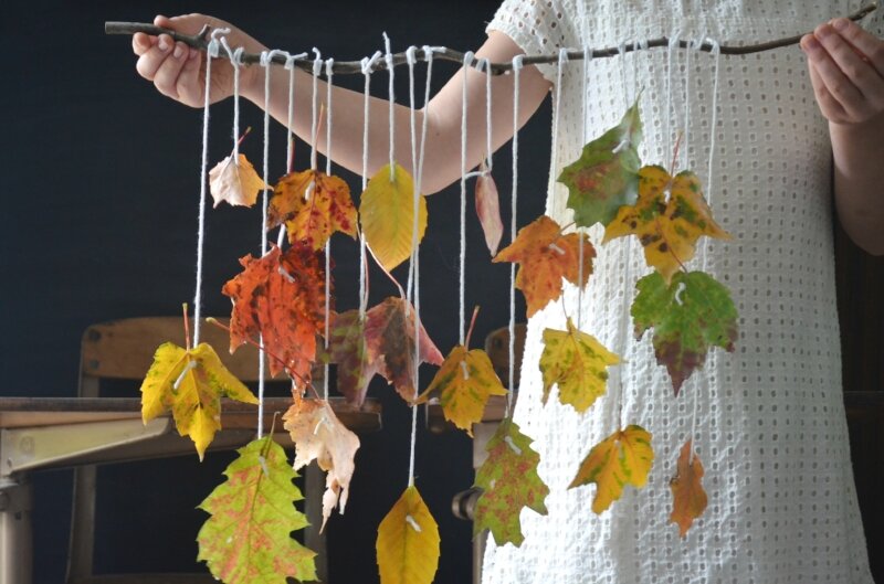 A Young Child's Guide To Trees