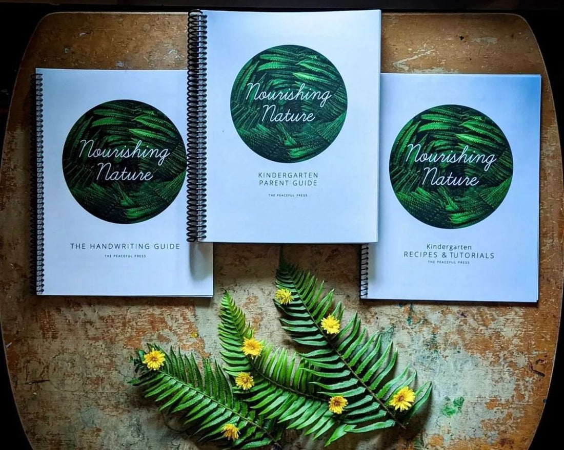 Nature Study Step By Step
