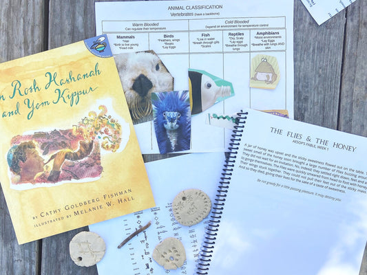 Eliminate Homeschool Stress