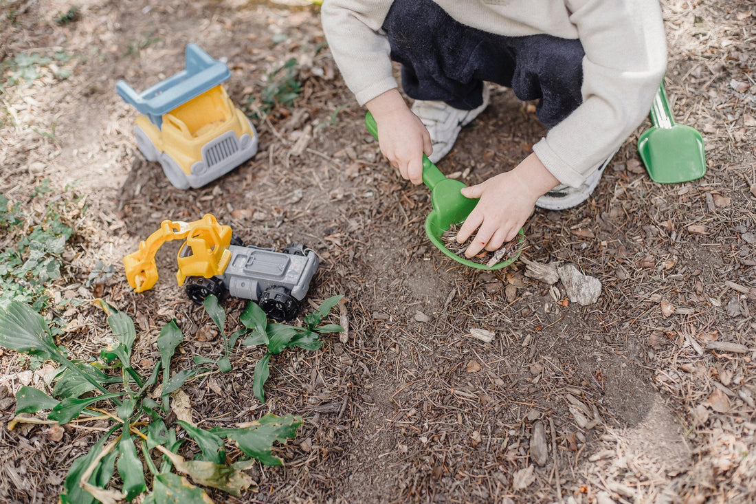 Outdoor Nature Study Activities in the Early Years