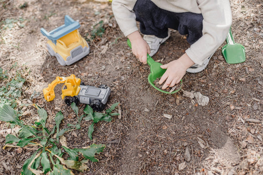 Outdoor Nature Study Activities in the Early Years