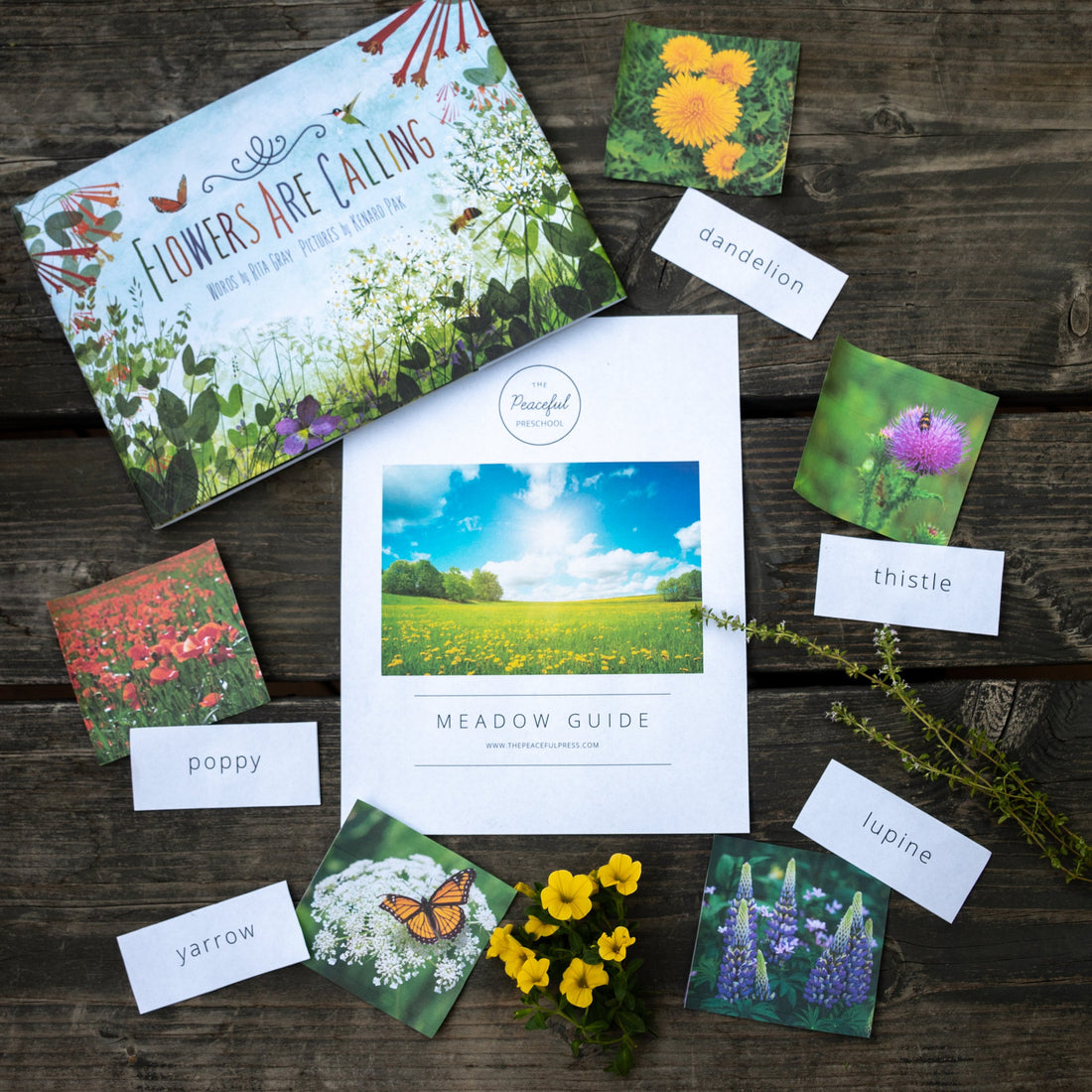 Best Chapter Books for Nature Study