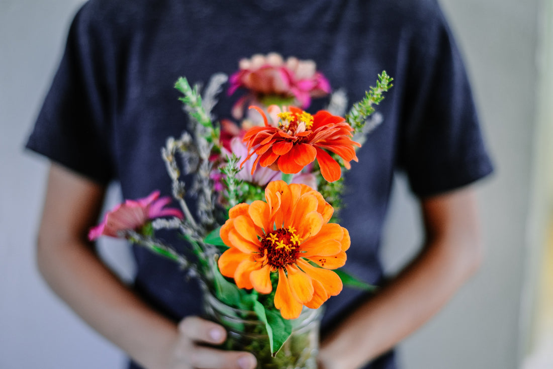 Gentle Spring Learning