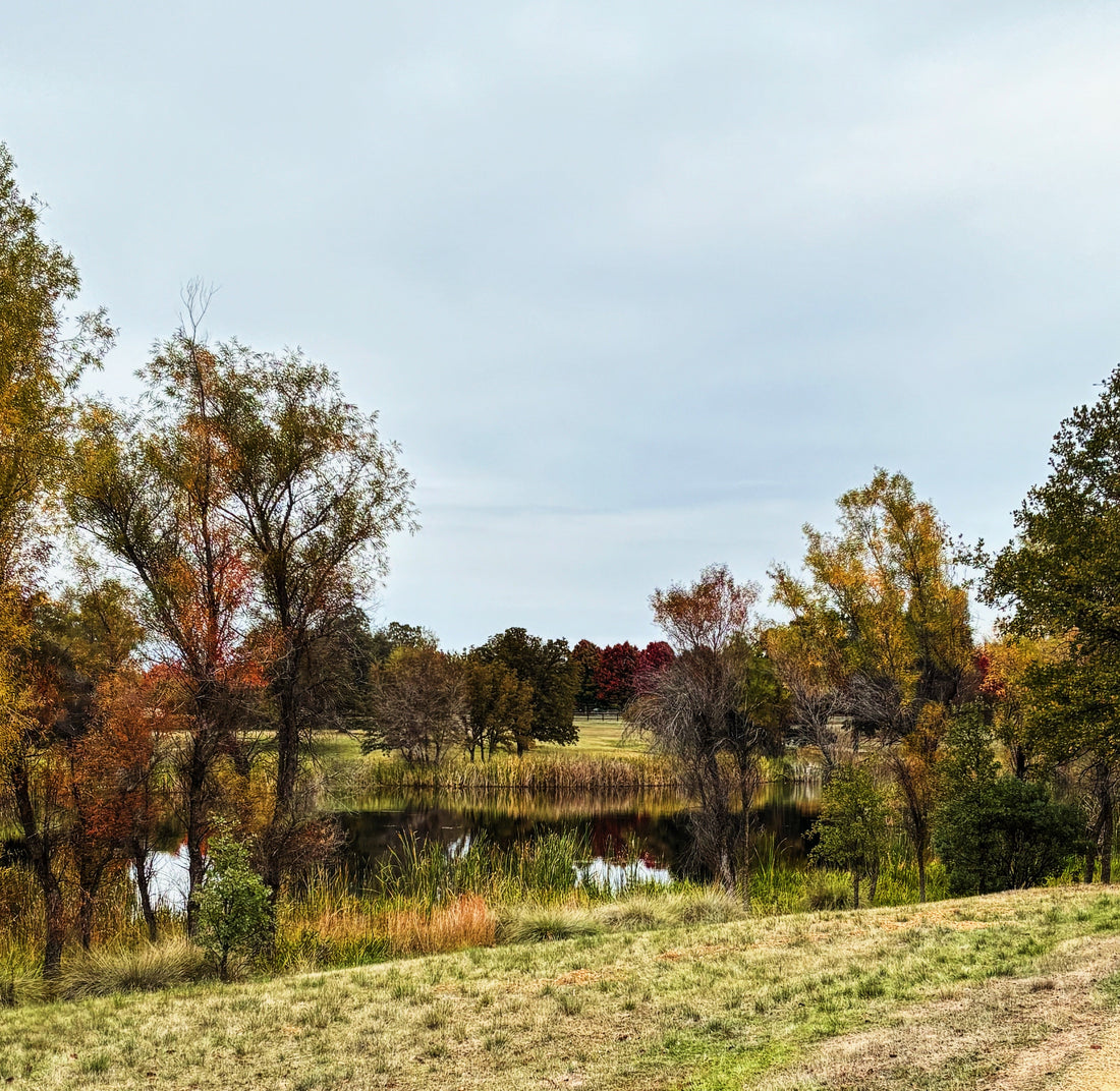 Reflection Questions for Each Season of a Mother's Life