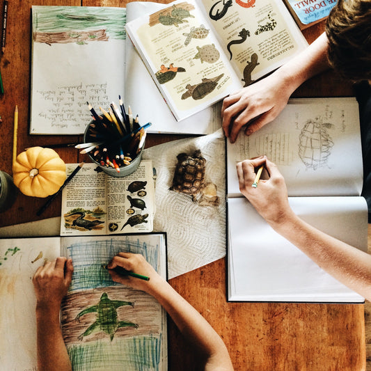 5 Steps to a Peaceful First Week of Homeschooling