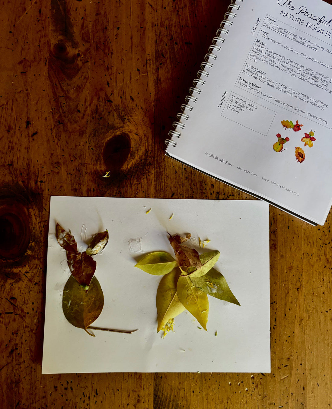 Fall Homeschool Resources for a Charlotte Mason Inspired Education