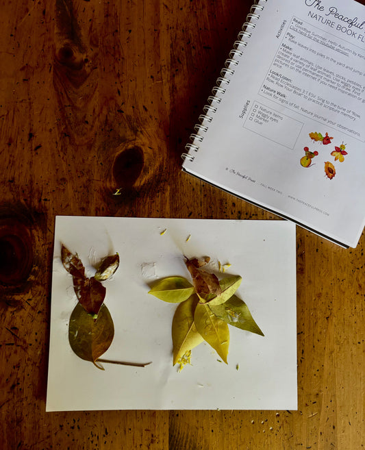 Fall Homeschool Resources for a Charlotte Mason Inspired Education