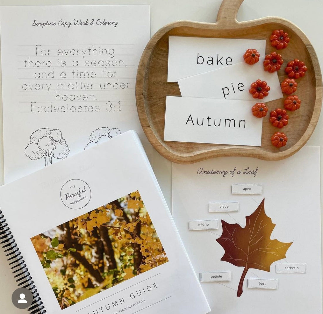 Fall Bucket List for Families