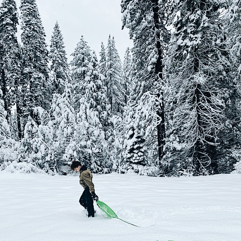 A Cozy Christmas Chapter Book List for Families - child walking through snow with a sled in a winter landscape.