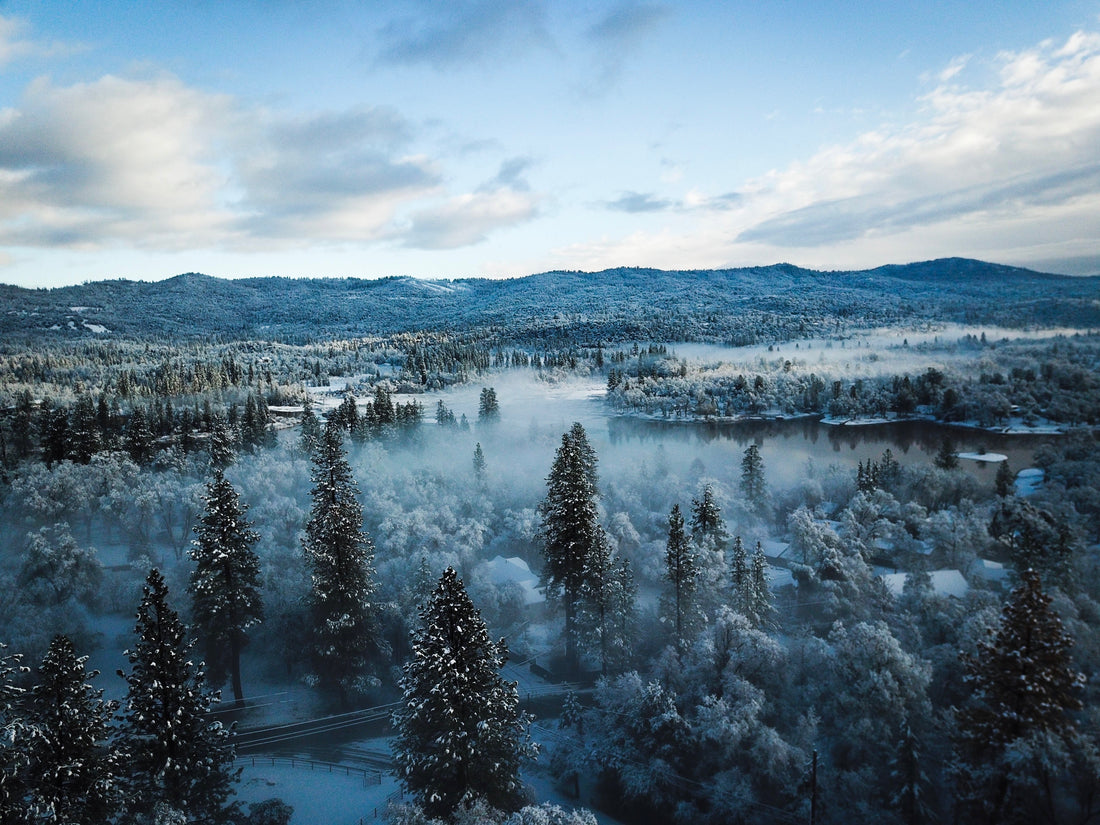 Peaceful Homeschooling for the Holidays