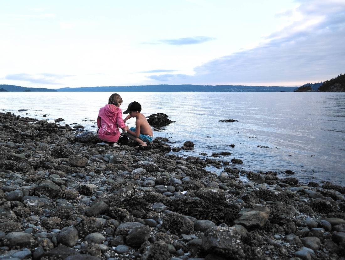 Why Literature-Based Homeschooling Is Best for the Early Years | The Peaceful Press