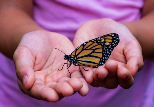 Fun Outdoor Learning Activities for Kids