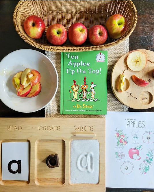 The Peaceful Preschool: A Perfect Year of Preschool Learning