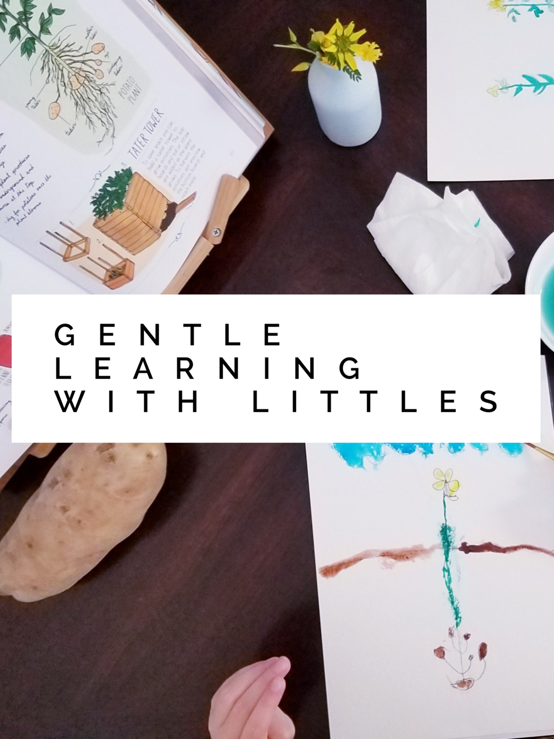 Gentle Learning With Littles- A Guest Post