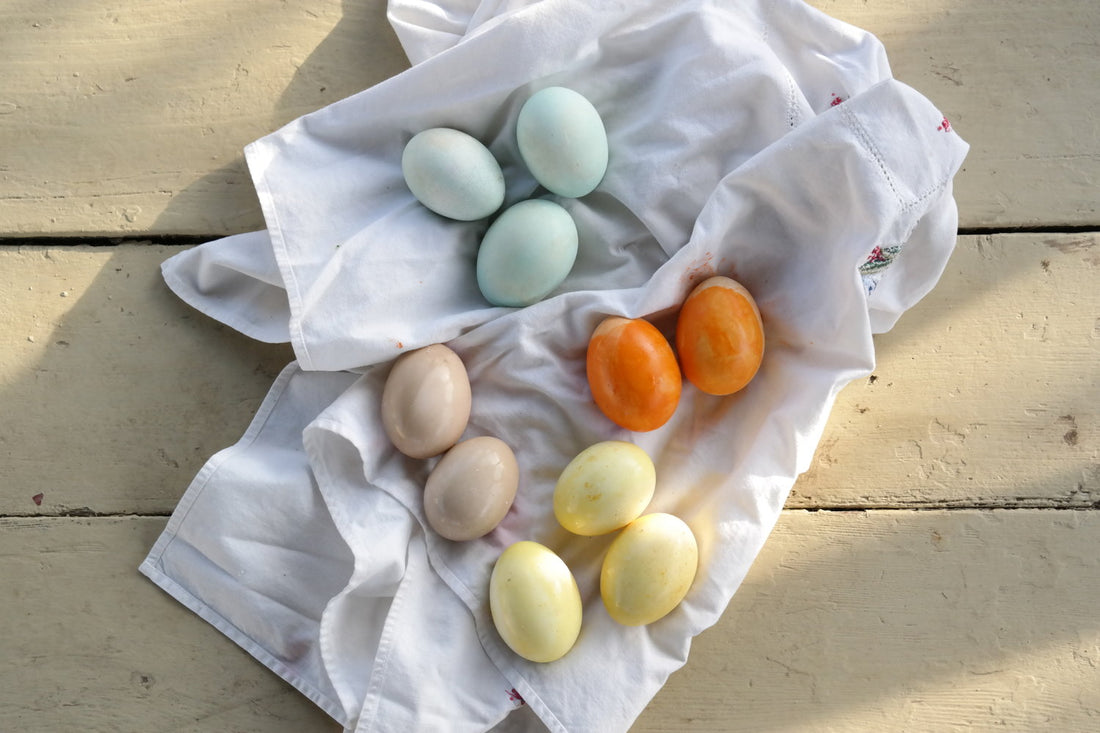 Edible Bird Nest Treats