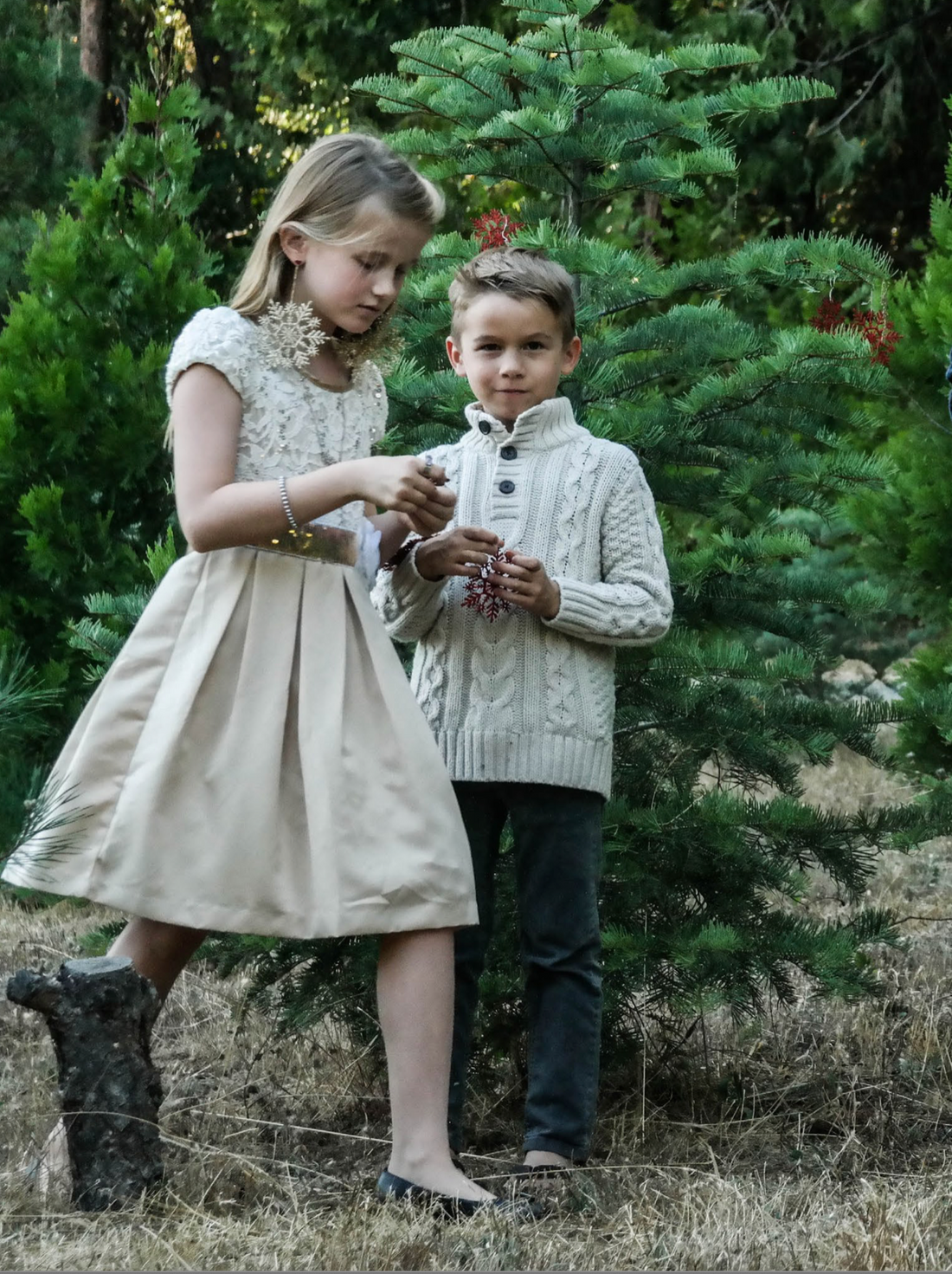 Something You Want, Something You Need, Something to Wear, Something to Read Christmas Gift Ideas