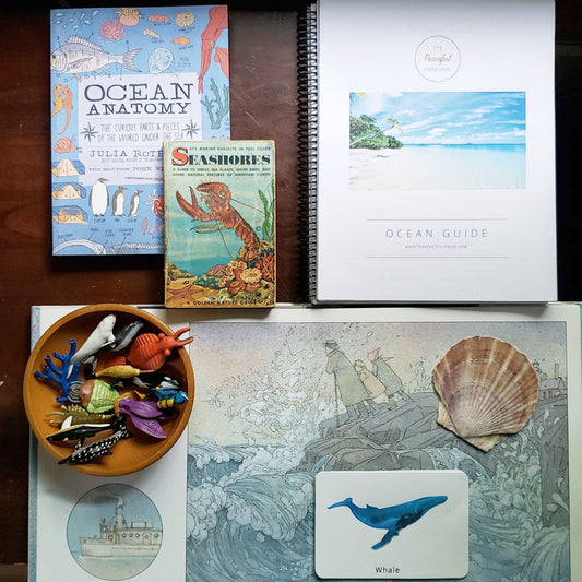 Discovering the World Through The Peaceful Press Nature Studies