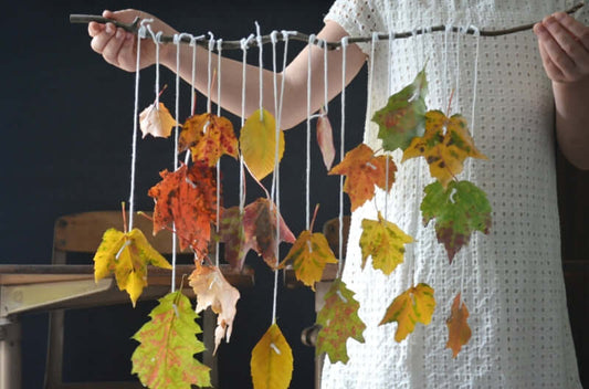 Homeschool Guide To Trees for Early Learners | The Peaceful Press