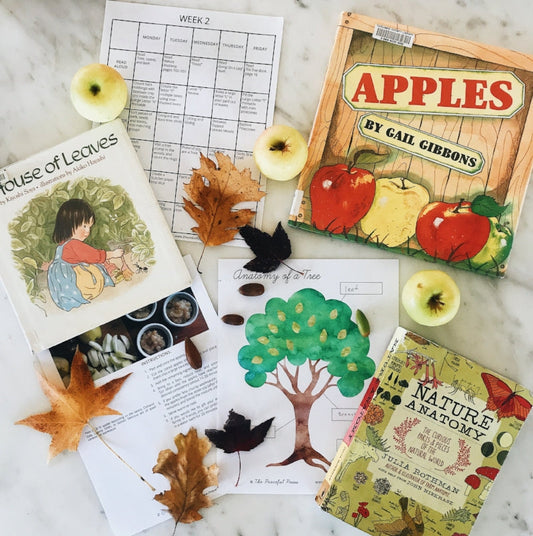 25 Simple Fall Activities for Homeschool Families