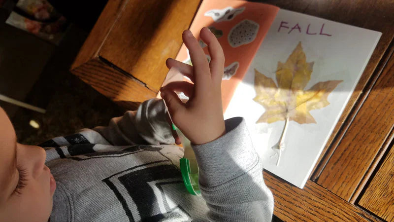 25+ Fall Preschool Activities for Nature-Based Learning
