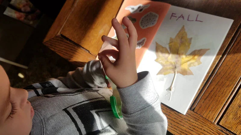25+ Fall Preschool Activities for Nature-Based Learning