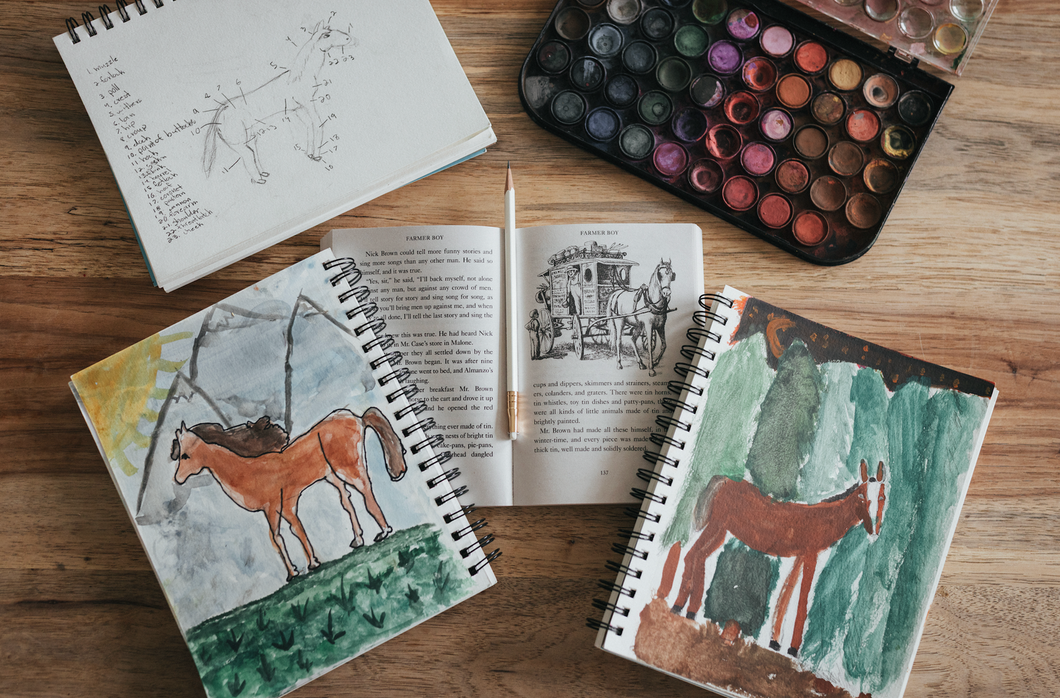 elementary homeschool curriculum playful pioneers